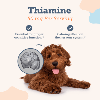 Calming Chews & Joint Chews Bundle