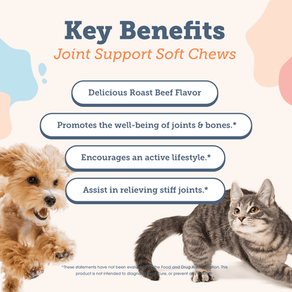 Calming Chews & Joint Chews Bundle